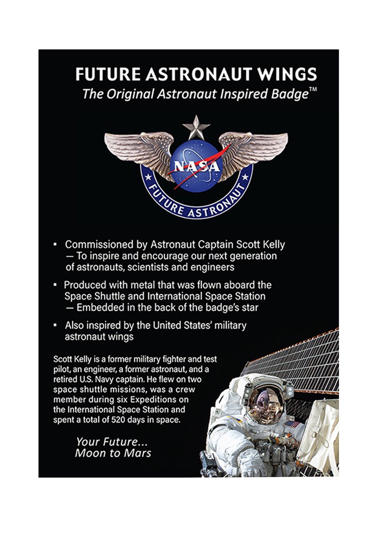 FutureAstronautWingsSilver